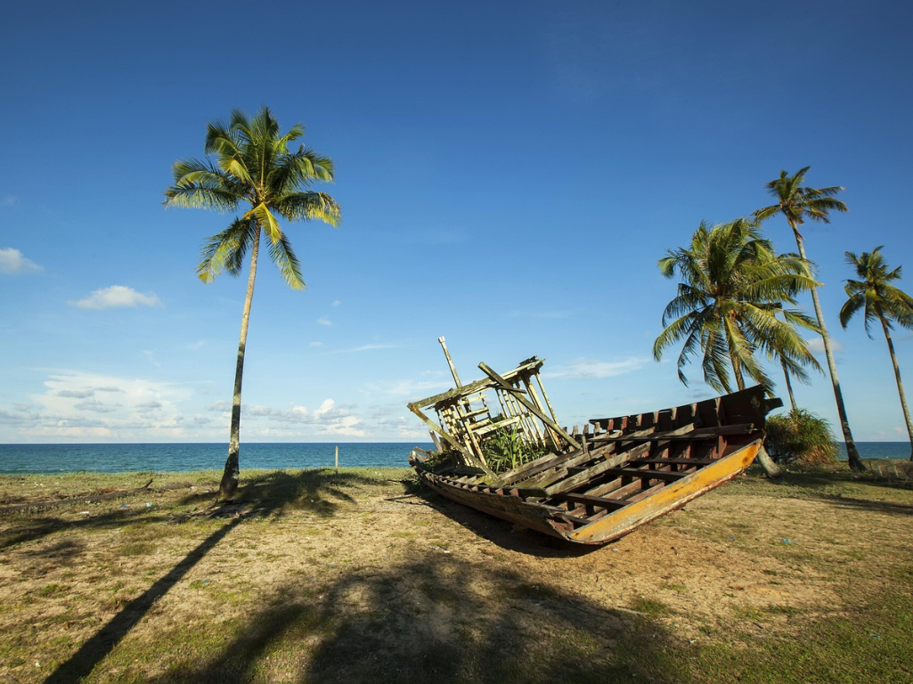 Abandoned boat surrounded by palm trees
